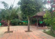 Bán gấp nhà hàng mới xây dựng tại Vĩnh Thạnh View Sông đẹp mộng mơ