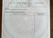 CẦN TIỀN BÁN GẤP 2 THỬA ĐẤT RỪNG